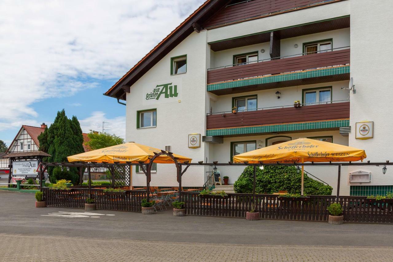 Pension Grune Au Hasselroth Zewnętrze zdjęcie